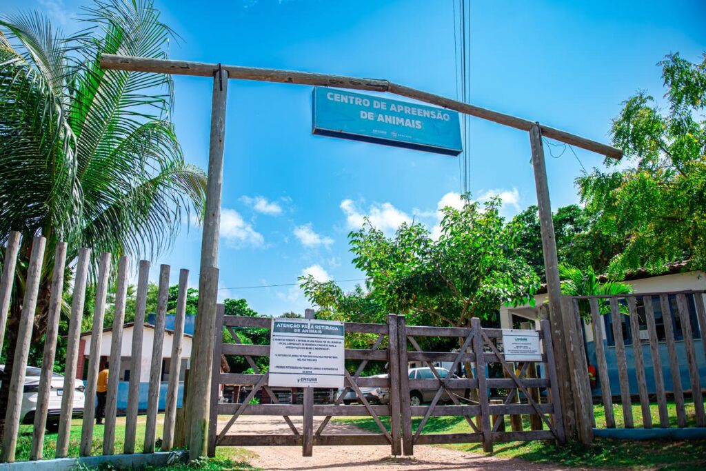 Centro de Apreensões registra 57 animais recolhidos em Aracaju em setembro