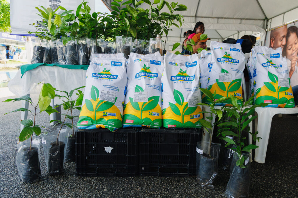 Governo de Sergipe amplia distribuição de sementes de milho e deve beneficiar mais de 20 mil famílias