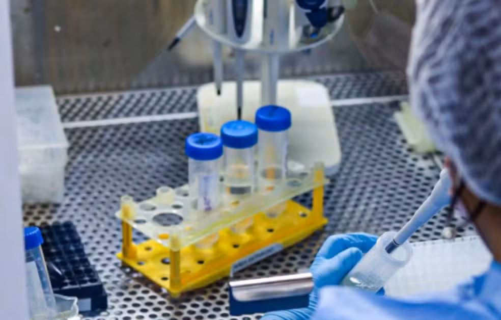 Lacen confirma circulação de variante da influenza A em Sergipe